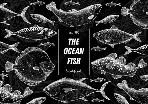 Fish sketch collection. Hand drawn vector illustration. Seafood frame vector illustration. Food menu illustration. Hand drawn tuna, salmon, flounder, cod fish, herring, mackerel. Engraved style.
