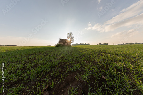 old farm house in a field