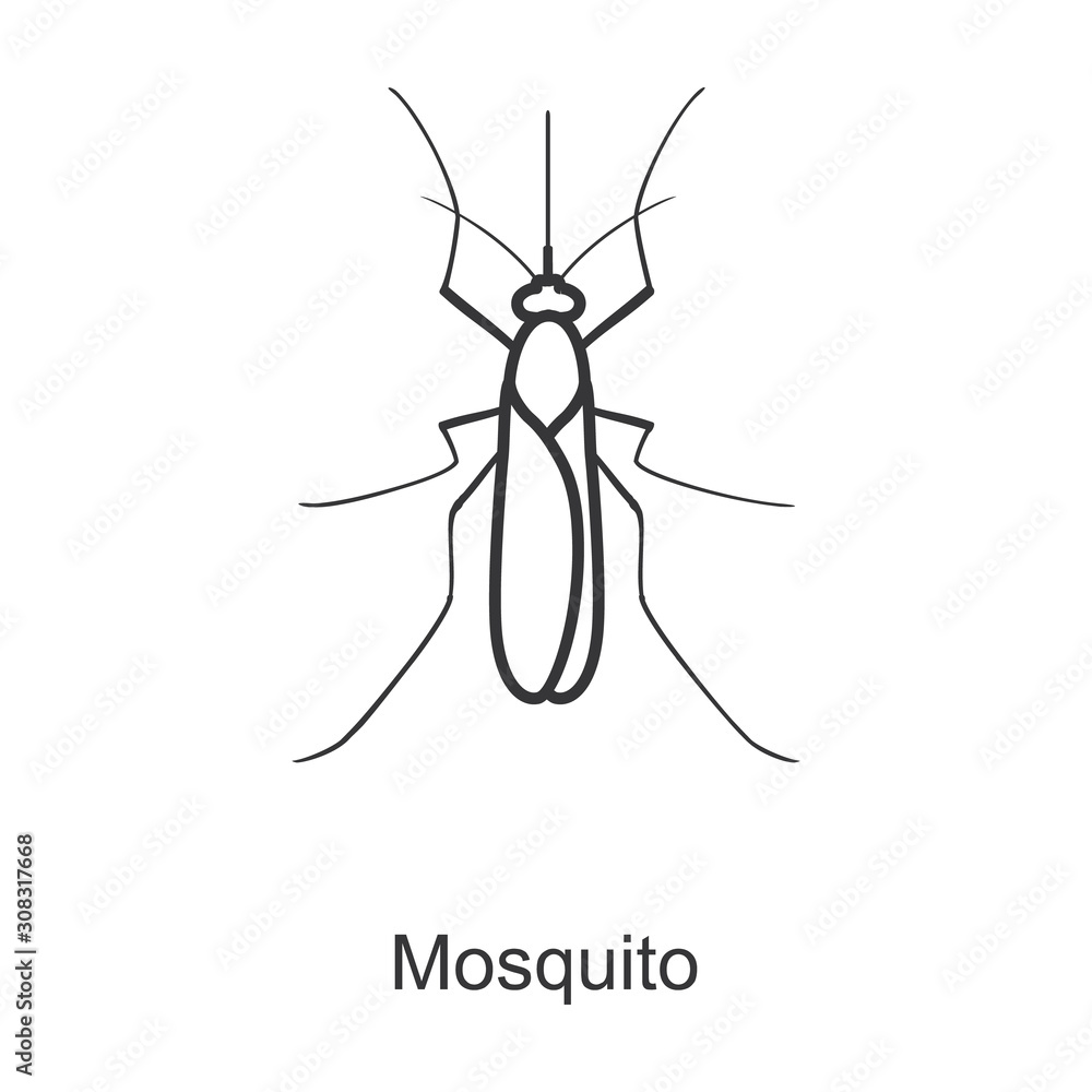 mosquito vector icon.Line vector icon isolated on white background mosquito. mosquito vector icon.Line vector icon isolated on white background mosquito.