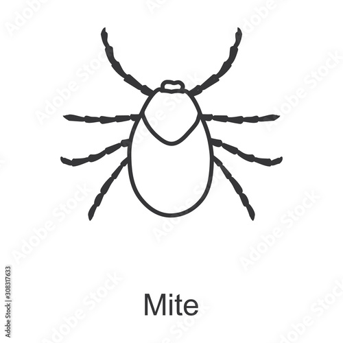 Mite vector icon.Line vector icon isolated on white background mite .
