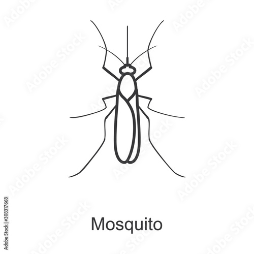 mosquito vector icon.Line vector icon isolated on white background mosquito.