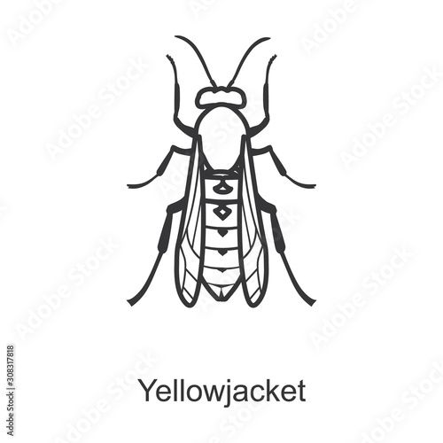 Yellow bee vector icon.Line vector icon isolated on white background yellow bee.