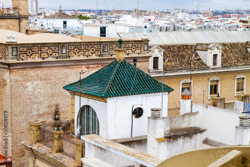 Sevilla Mushrooms  