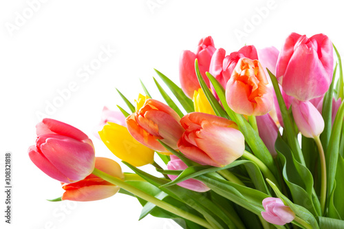 Bouquet of colorful tulips on white background