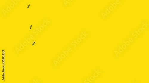 Road path of chaotic running ants cartoon animation. Follow the route line of travelling insects. Pest control and navigation concept. Crawling insects colony backdrop motion graphics. 