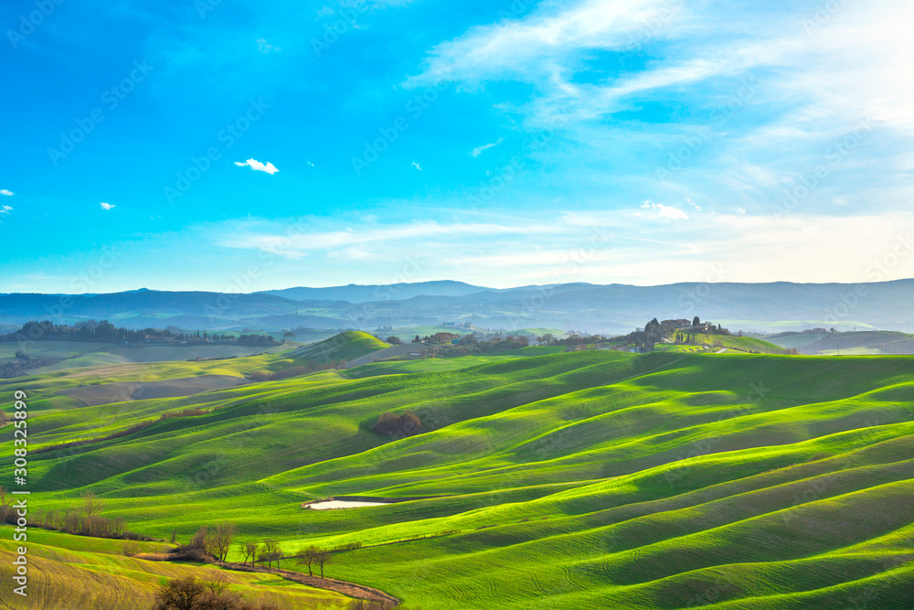 Tuscany panorama, rolling hills, trees and green fields. Italy