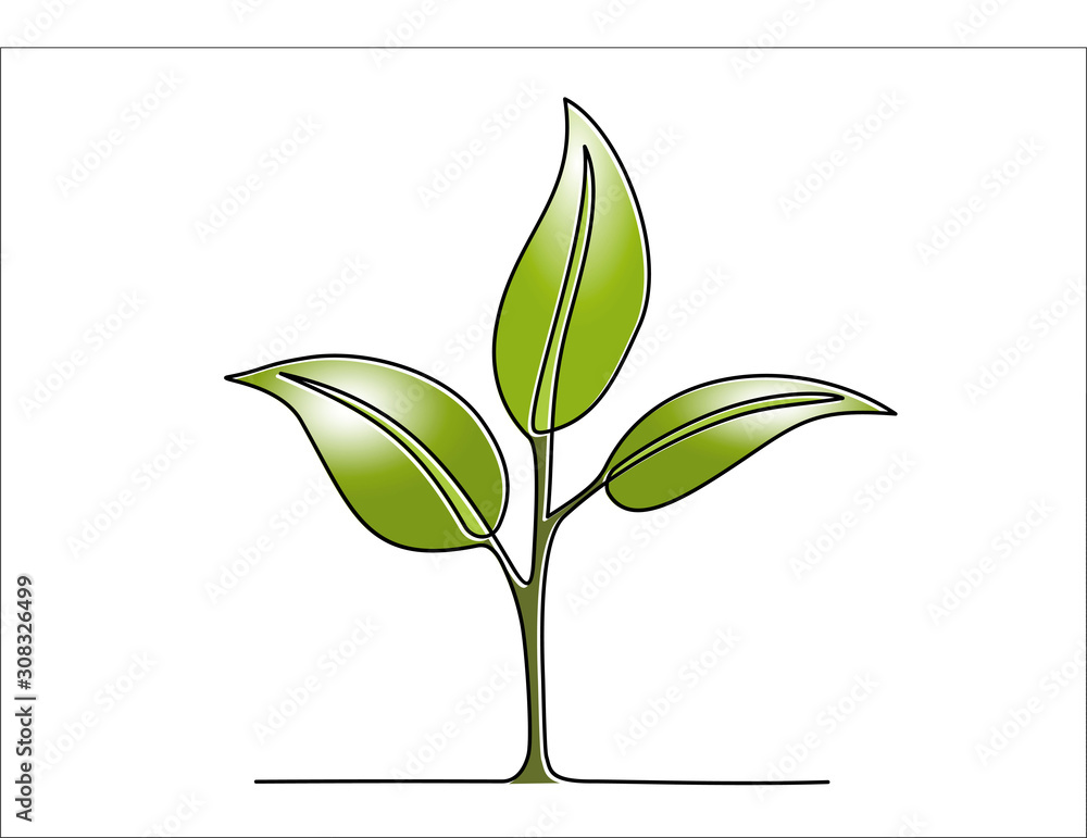 Pot Plant Flower Drawing HighRes Vector Graphic  Getty Images