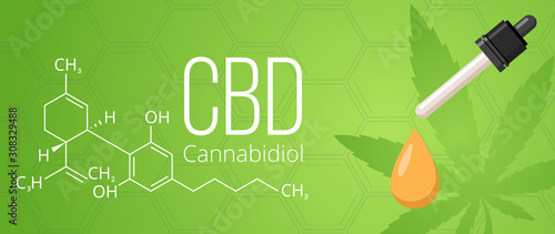 Cannabidiol design banner template. CBD cannabis formula, CBD hemp oil.