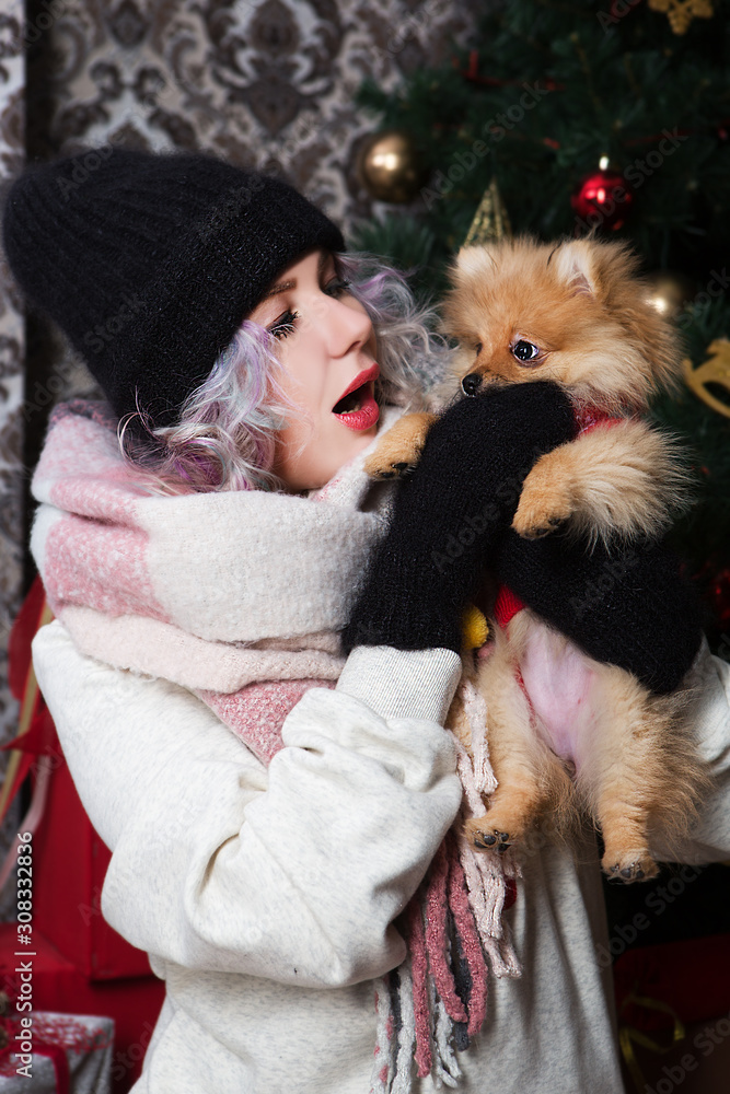 Obraz premium Beautiful happy woman plays with a little dog on the background of a Christmas tree