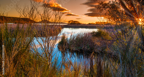 stunning vibrant sunset in the reeds and swamp at Waihi village inlet near the shores of Lake Taupo at Turangi