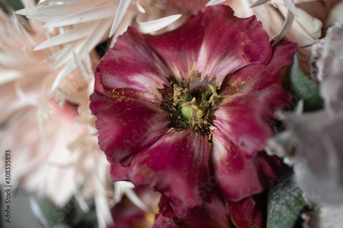 Fototapeta Naklejka Na Ścianę i Meble -  Close-up photo of a Lisianthus flower. Flower delivery. Flowers