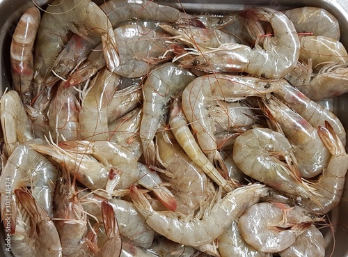 Fresh sea prawns in metal trays brought to the seafood market