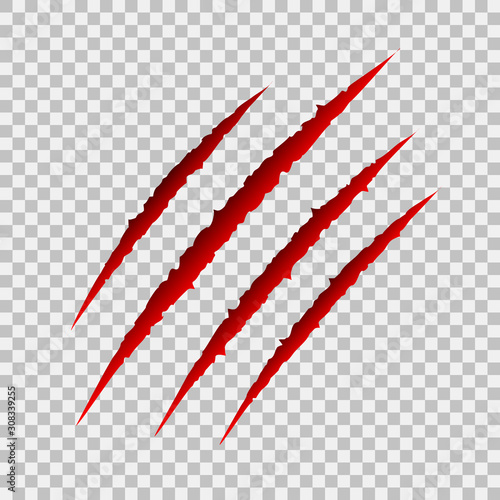 Scratch claws of animal, scratch scrape track, scratches paw shape – vector
