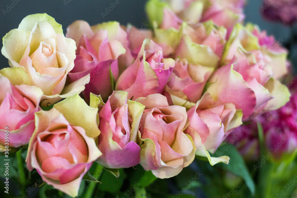 Close-up flower shop window with rose flowers, selective focus Close-up flower shop window with rose flowers, selective focus