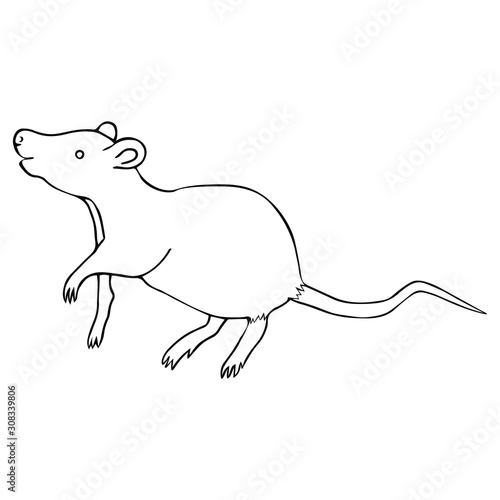 White metal rat. Colorless background. Chinese New Year. Eastern calendar. Coloring book for children. Holiday print.