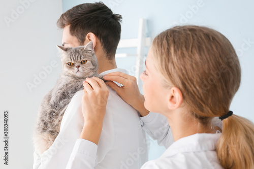 Veterinarians with cute cat...