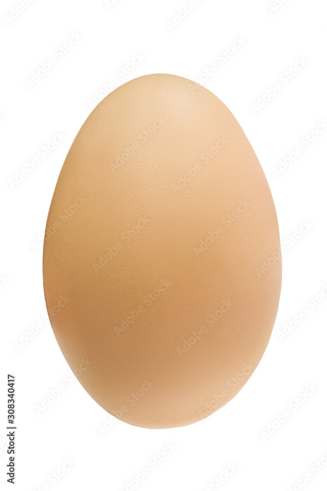 chicken egg closeup isolated on white background chicken egg closeup isolated on white background
