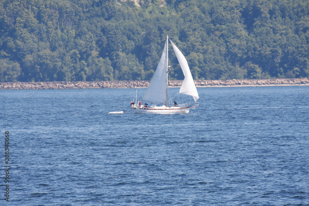 Fototapeta premium Sailing