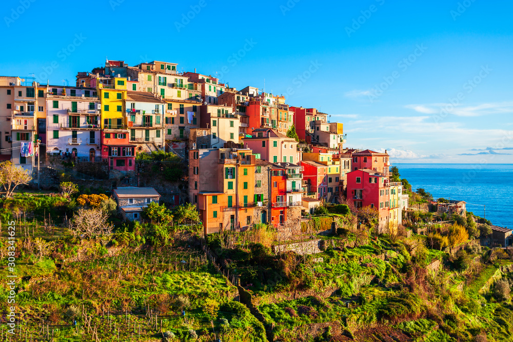 Fototapeta premium Cinque Terre national park, Italy