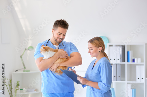 Veterinarians with cute cat...
