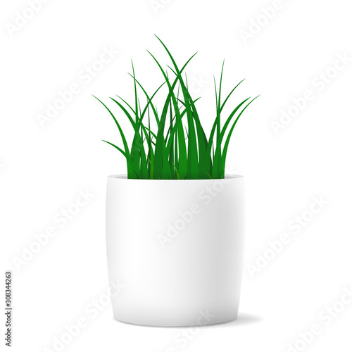 Vector set of realistic isolated white of green grass on white background.