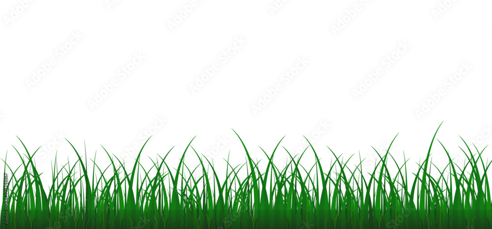 Vector bright green realistic grass isolated on white background. Vector illustration.