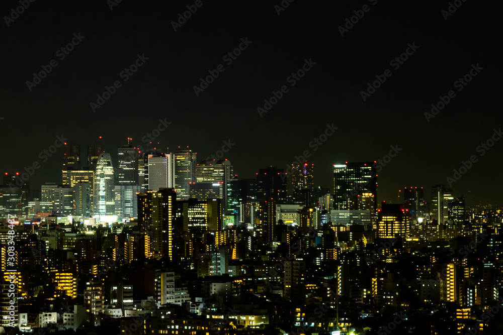 Tokyo Shinjuku area nightview