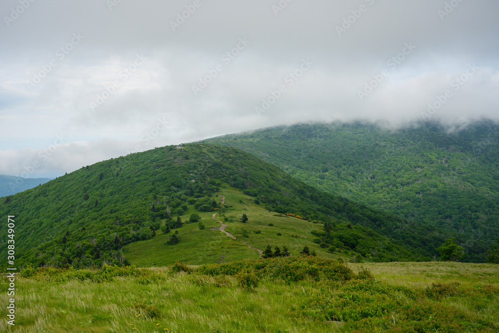 Appalachian Trail Climbs Jane Bald with fog rolling in over the mountain Appalachian Trail Climbs Jane Bald with fog rolling in over the mountain