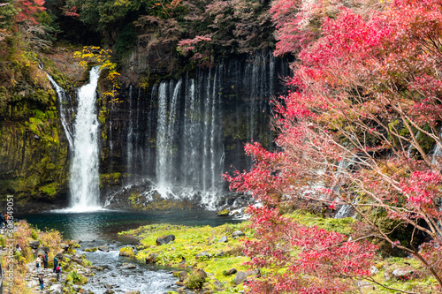 Fototapeta Naklejka Na Ścianę i Meble -  Shiraito waterfalls