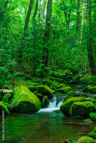 Cosby Creek