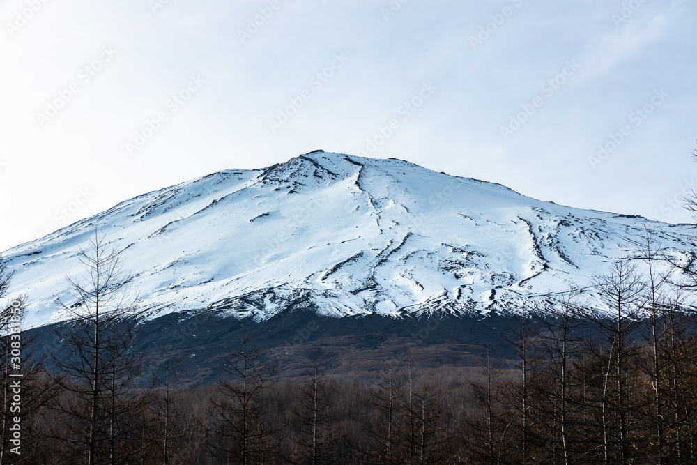 Fototapeta premium Mt. Fuji and hill