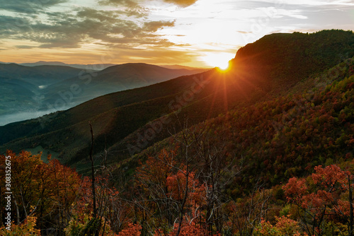 Beautiful orange and red autumn forest photo