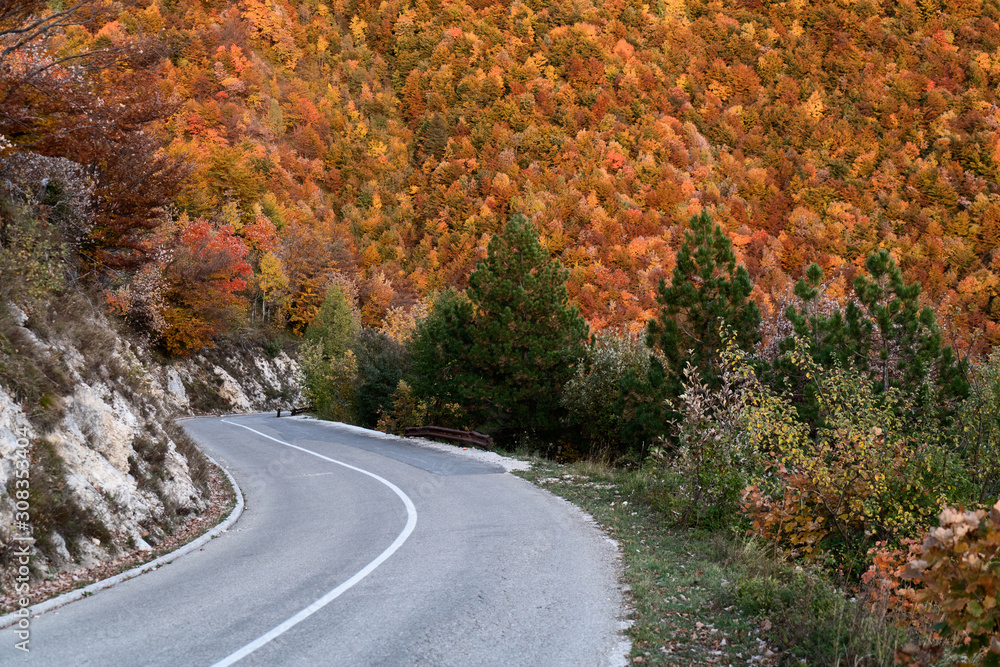 Fototapeta premium Asphalt mountain road among the yellow autumn trees and high rocks