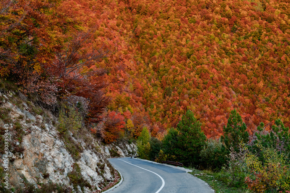 Naklejka premium Asphalt mountain road among the yellow autumn trees and high rocks