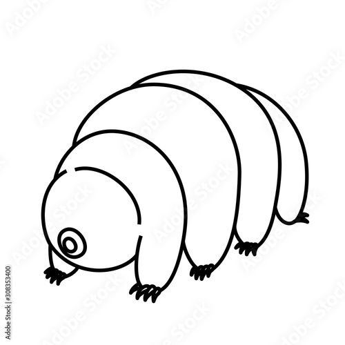 クマムシ