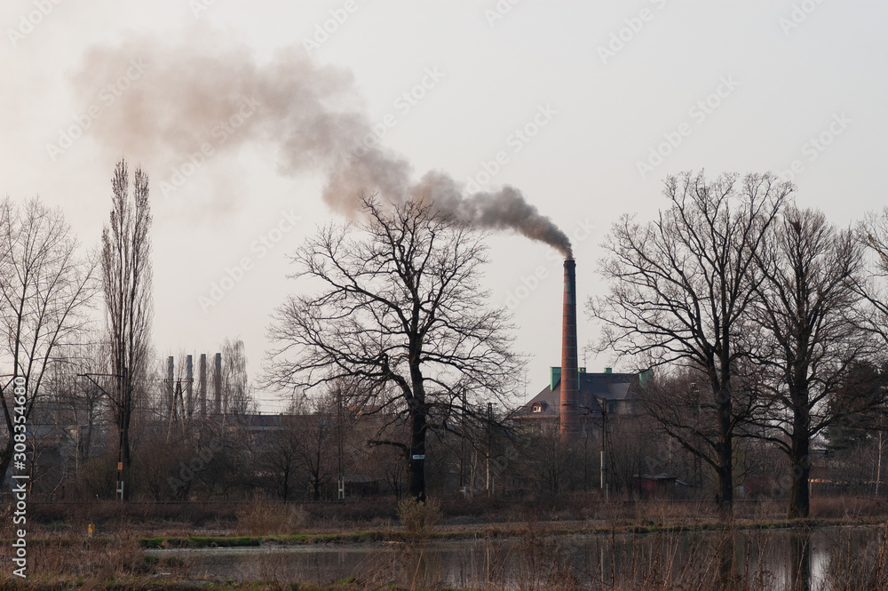 Fototapeta premium Carbon dioxide air pollution. Trees without leaves and smoke from factory pipe.