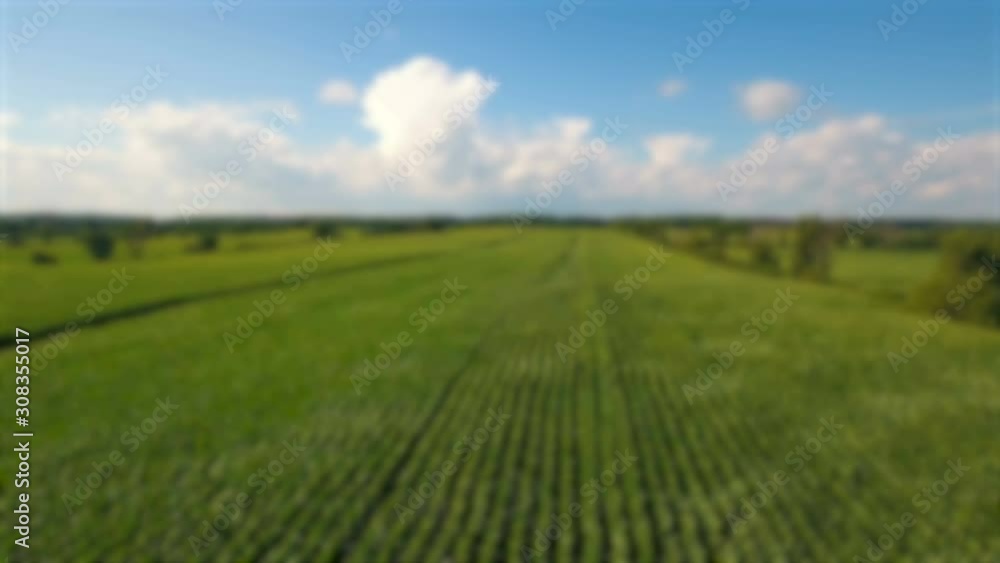 Summer Crops in Canadian Farm Land Aerial Background Summer Crops in Canadian Farm Land Aerial Background