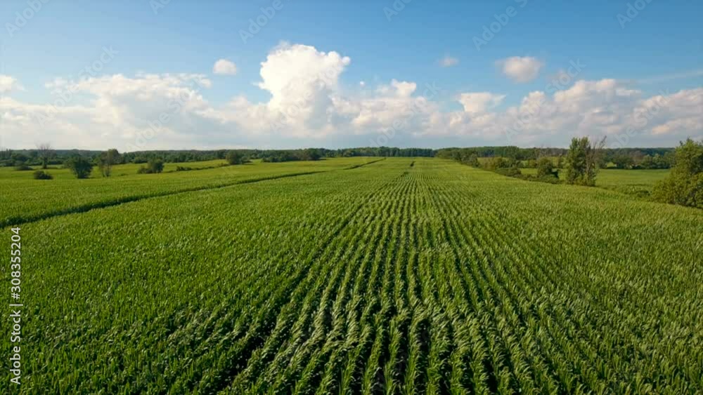 Summer Crops in Canadian Farm Land Aerial Background Summer Crops in Canadian Farm Land Aerial Background