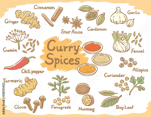 Spices and herbs for curry or Indian cuisine.