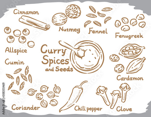 Spices for curry or Indian cuisine.