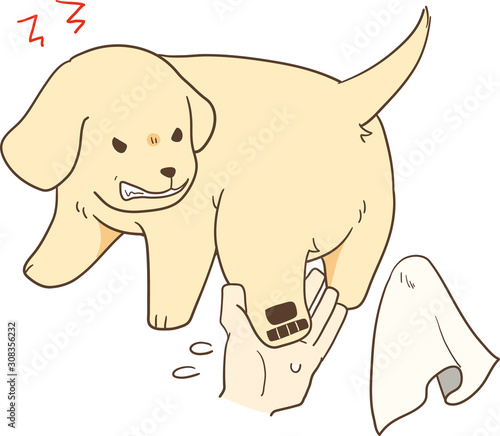 ゴールデンレトリバーの子犬（足拭きを嫌がる）