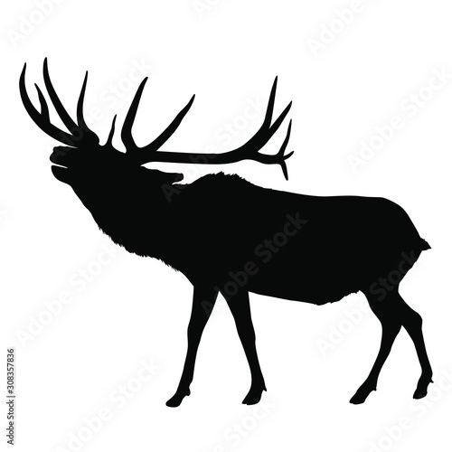 A vector silhouette of a large bull elk bugling.