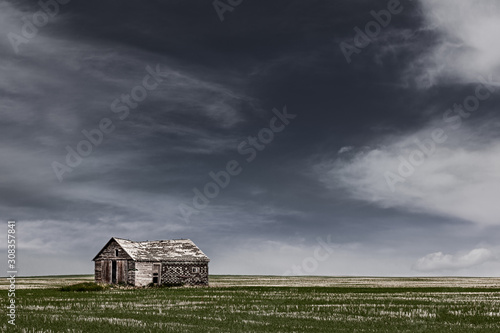 Billede på lærred A dilatidated broken down shack in a field in the Praries, Canada