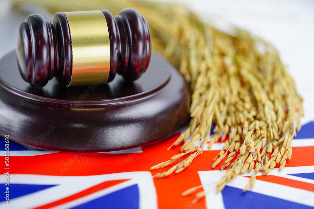 United Kingdom flag and Judge hammer with gold grain rice from agriculture farm. Law and justice court concept.. United Kingdom flag and Judge hammer with gold grain rice from agriculture farm. Law and justice court concept..