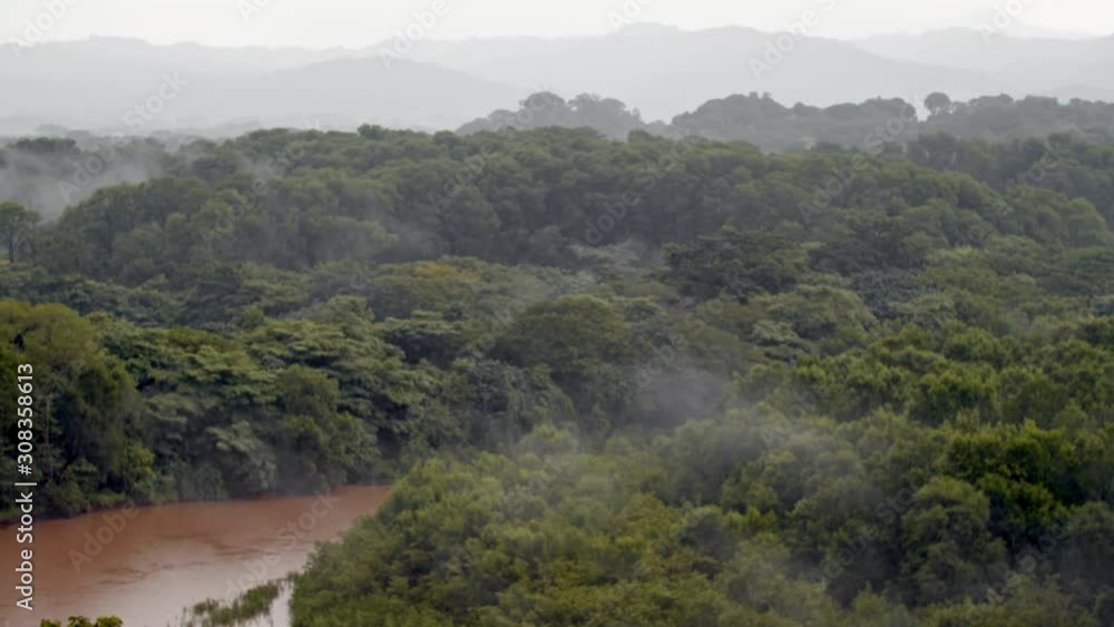 Close panning shot of rain forest in Nosara, Costa Rica during rainy day. Close panning shot of rain forest in Nosara, Costa Rica during rainy day.