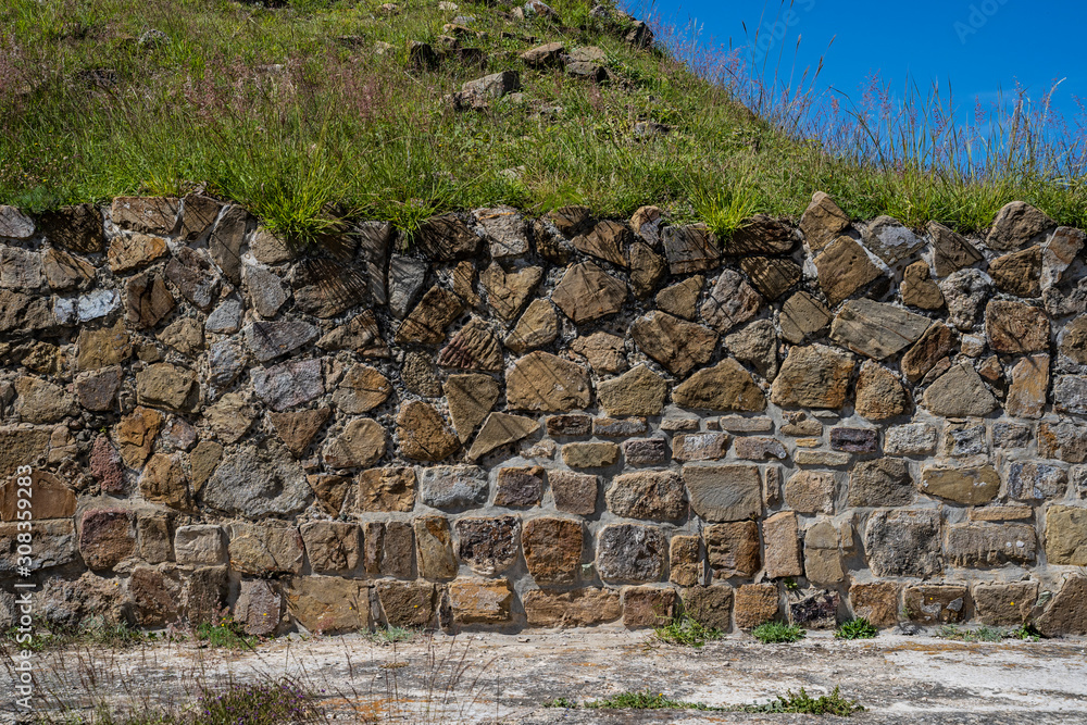stone wall with vegetation