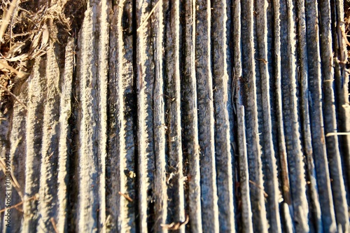 texture of wood