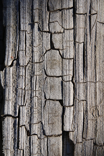 old wood texture