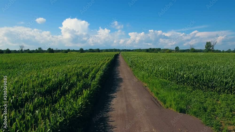 Summer Crops in Canadian Farm Land Aerial Background Summer Crops in Canadian Farm Land Aerial Background