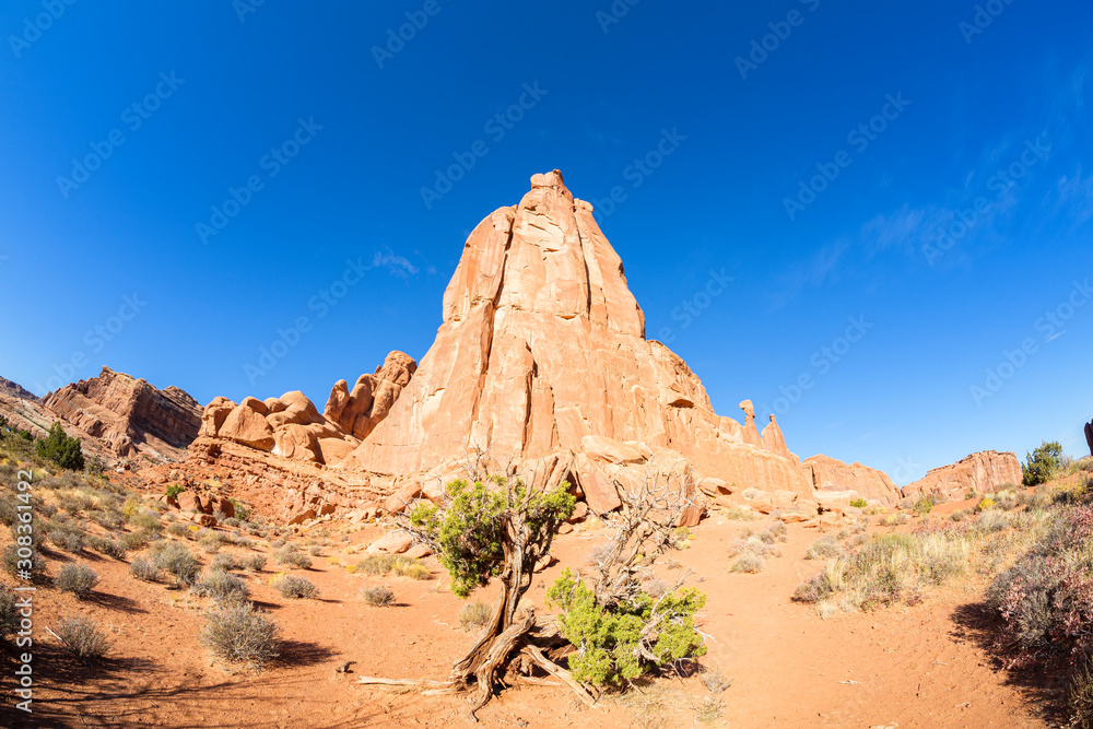 Fototapeta premium Arches National Park